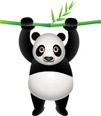 WebmasterWorld   В теме есть сообщение от SEO, который является участником WebmasterWorld с 2006 года, утверждая, что он выздоровел после удара Google Panda за ночь